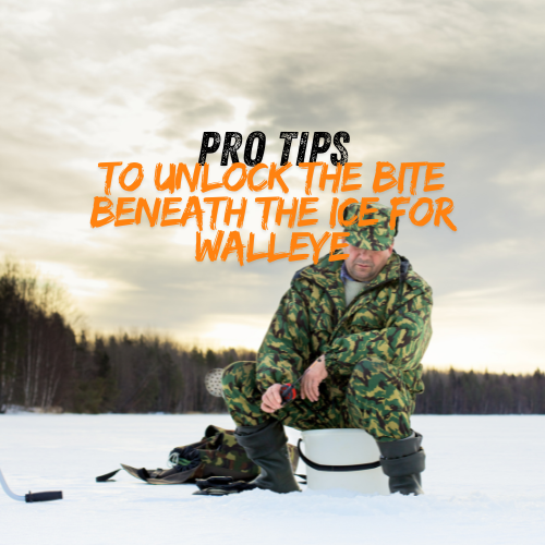 Unlock Tips to Catch Walleye Ice Fishing
