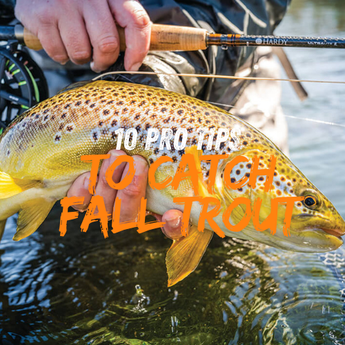 Unlock 10 Pro tips to catching Fall Trout