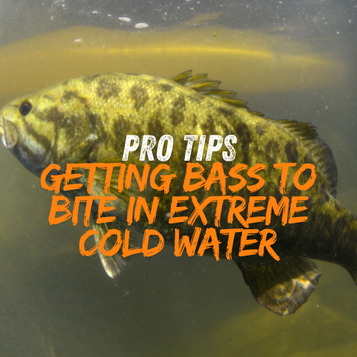 Catch Bass in Cold Water like a PRO