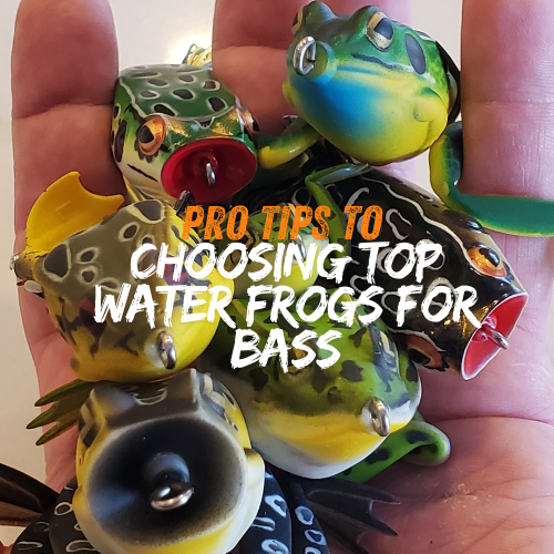 Pro Tips to Choosing Top water Frogs for Bass