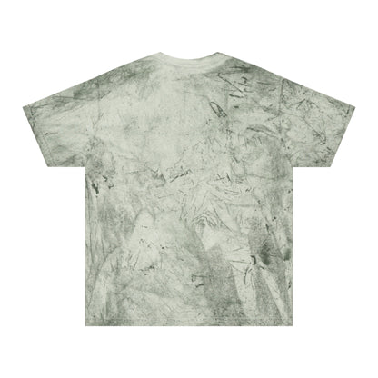 WFS original Mens TIE DIE washed T-Shirt