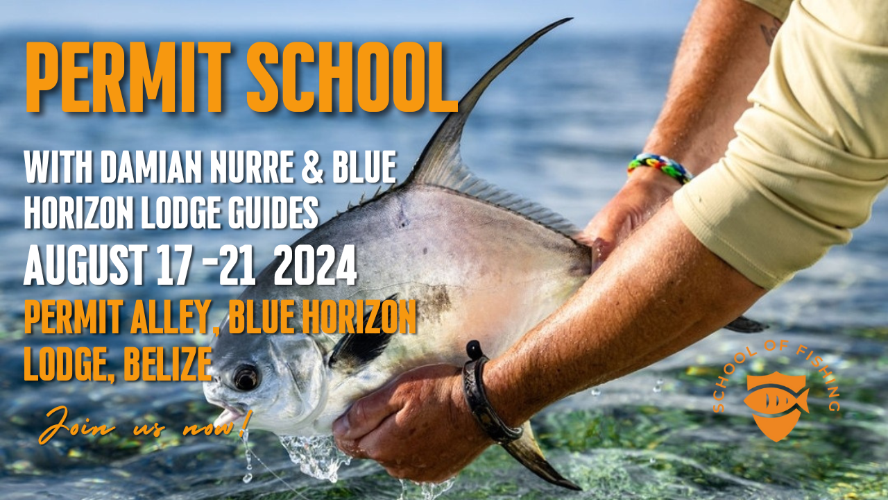 Permit School with Damian Nurre