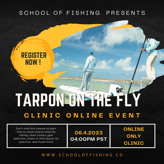 Top Tactics for Catching Tarpon on the Fly Clinic (SOLD OUT)