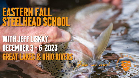 Eastern Fall Steelhead School with Jeff Liskay (SOLD OUT)